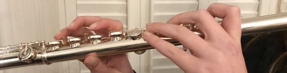 Flute Lessons